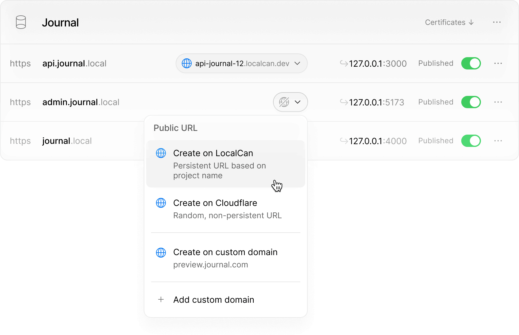 Local domains and persistent Public URLs